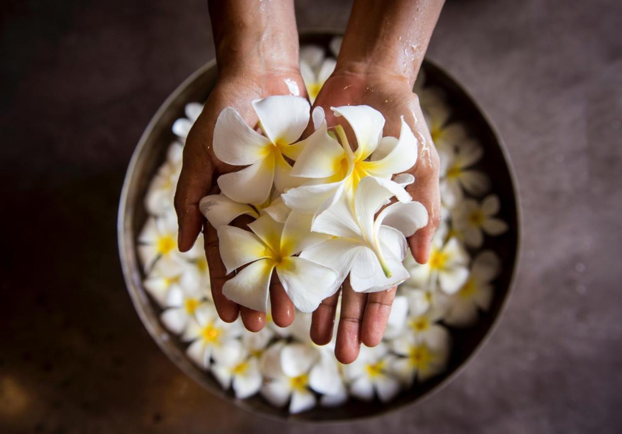 Saii Koh Samui Choengmon Choeng Mon Kültér fotó